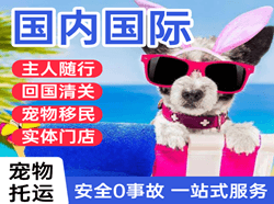 曹家堡航空快递国际宠物托运 【国